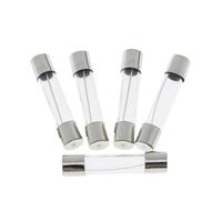100PCS 6x30mm Fast Blow Glass Tube Fuses 0.25A 0.5A 1A 1.5A 2A 2.5A 3A 3.15A 4A 5A 6A 7A 8A 10A 15A 20A 25A 30A 250V 6 * 30mm NWPNLXEA(5A)