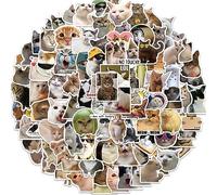 100Pcs Espressione Felina Adesivi per Bottiglie d'Acqua Bicchiere Bagagli Skateboard Paraurti Scrapbook Tazza, Adesivo Regalo per Bambini Adolescenti Adulti