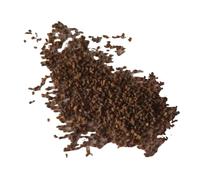 100pcs Gartenblumensamen Voller Vitalität Hohe keimrete nicht-gvo gut angepasste schnell wachsende samen 12