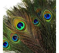100pcs Piume di Pavone Naturali con Piume di Coda di Pavone Dell'occhio 10"- 12" (25-30 cm) Perfetto per la Festa di Nozze Arti e Mestieri Decorazioni per la Casa