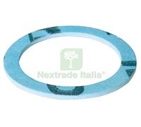 100PZ GUARNIZIONE PER RACCORDI E FLESSIBILI MIS. 1: