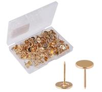 100pz Puntine da Disegno Resistenti, Puntine Testa Piatta in Lega Puntine per Tappezzeria Chiodi Decorativi per Legno Tessuto Tappezzeria Casa Ufficio Progetti Fai Da Te(Oro)