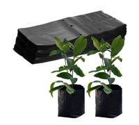 100pz sacchetti per la coltivazione in vivaio, 9,4" x 12,2" di spessore [nero]