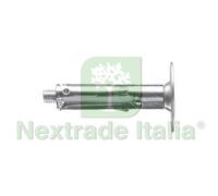 100PZ TASSELLO ACCIAIO CON VITE TGS T61 V Ø MM.9X40: