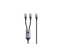 100W USB-C PD QC PPS doppio 2x cavo USB-C a ICOC MU2C-2C100W