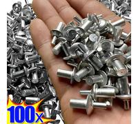 100x Espansione Hammer Drive Rivetti Espansione a percussione Chiodo in alluminio Testa Piercing Tipo di bussare Viti autofilettanti piccole Elementi di fissaggio