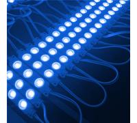 100X LED Moduli - Blu - Werbebeleuchtung Vetrine Iniezione Pubblicità 12V [EEK: B]
