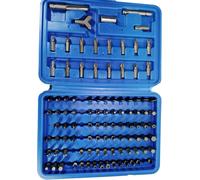 100x punte 1/4" con accessori set in custodia