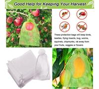 100x sacchetti di protezione da frutta sacchetto regalo di organza per i