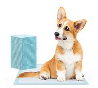 100x tappetini per cuccioli ARNOMED, accessori per cuccioli, lettiera per cani a prova di perdite in 60x60cm, accessori per cani di piccola taglia, tappetini a 5 strati per cani tappetini per cuccioli