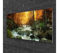 100x50 Pittura su Vetro Acrilico Arredo Casa Cascata Pietre di bosco