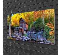 100x50 Quadro Immagine Arte da Parete Vetro Pietre della foresta Natura