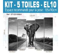100x60cm- Kit 5 Dipinti Stampa Quadro Decorazione - Elefante EL10BW-5T10060B