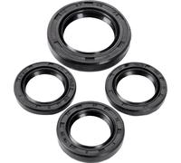 101 OCTANE GY14627 ENGINE OIL SEAL SET SYM X PRO 125 2013