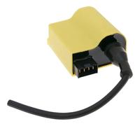101 Octane Kit Ecu Ip32330