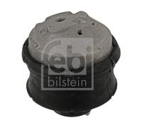 10120 Sospensione, Motore Febi Bilstein