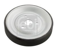 102466 Puleggia, Pompa acqua Febi Bilstein
