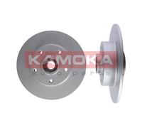 1031064 KAMOKA Disco freno per RENAULT