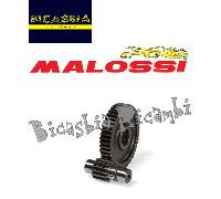 10404 INGRANAGGI SECONDARI MALOSSI HTQ Z 13/48 DM 17 GILERA 50 RUNNER SP STALKER