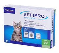 104069012 EFFIPRO CAT 4PIP Antiparassitario per Gatti Confezione da 4 Pipette
