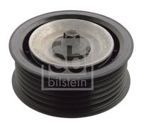104075 Galoppino/Guidacinghia, Cinghia Poly-V Febi Bilstein