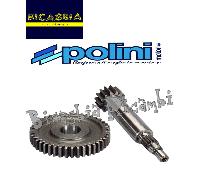 10598 - INGRANAGGI PRIMARI POLINI Z 14-43 YAMAHA : BELUGA 50 - CT 50