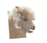 106 pezzi di adesivi realistici per pecore, adorabili decalcomanie di animali soffici, adesivi impermeabili per diario, scrapbooking, decorazioni fai da te per il desktop