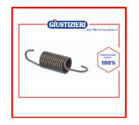 107717 MOLLA SOSPENSIONE VASCA BOSCH 00606818 LAVATRICE