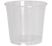 10er Set Pot Orchidea Trasparente Chiaro 19 CM Pacchetto Risparmio
