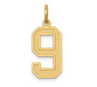 10k Oro Giallo Raso Finitura W/ Confine Medio Blocco Font 0 A 9 Numeri Ciondolo