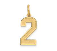 10k Oro Giallo Raso Finitura W/ Confine Medio Blocco Font 0 A 9 Numeri Ciondolo
