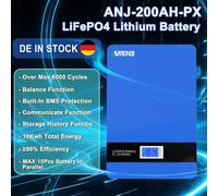 10KWh 51,2V LiFePO4 Batteria supporto a parete 48V 200Ah accumulo energia solare