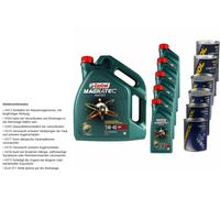 10L Castrol Magnatec Diesel 5W-40 DPF 2xLeak-Stop+Motor Doctor+Motor Flush