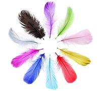 10pcs 25-30cm Fluffy Rainbow Piume di struzzo Lungo Colori Misti Fai Da Te Plume