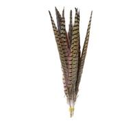 10pcs piume di coda di fagiano naturale collo ad anello 20-75 cm decorazione della casa di nozze piuma per artigianato pennacchio all'ingrosso-16-18 pollici