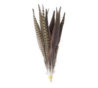 10pcs piume di coda di fagiano naturale collo ad anello 20-75 cm decorazione della casa di nozze piuma per artigianato pennacchio all'ingrosso-14-16 pollici