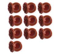 10PCS Rose Design Specchio Rossetto Holder Compact Travel Size Cosmetic Storage Case per Lip Gloss Regalo di San Valentino Compact Ombretto Rossetto Organizer, Colore zucca, Bellezza di massa