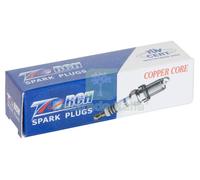 10PZ CANDELA 19C TORCH L6C PER DECESPUGLIATORE BM6A: