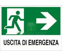 10PZ CARTELLO SEGNALETICO USCITA DI EMERGENZA DESTRA CM. 30X20: