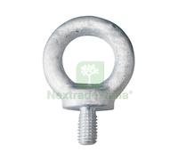 10PZ GOLFARE MASCHIO (DIN 580 UNI 2947) MM.12: