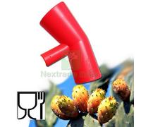 10PZ RACCOGLI FICHI D ' INDIA: