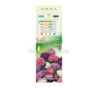 10PZ SEMI GARDEN ASTRO DELLA CINA: