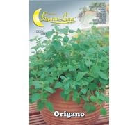 10PZ SEMI ORTO ORIGANO: