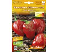 10PZ SEMI ORTO PEPERONCINO HABANERO ROSSO: