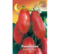 10PZ SEMI ORTO POMODORO SAN MARZANO: