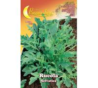 10PZ SEMI ORTO RUCOLA SELVATICA: