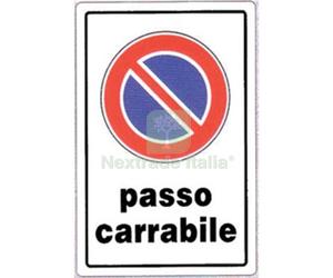 10PZ TARGA SEGNALETICA DIVIETO SOSTA PASSO CARRABILE PP CM 20X30: