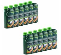 FANFARO 10W40 Olio Api Sl 12x 1 Litro per Adly/Herchee Artico Gatto Can-am TGB