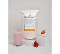 10x 1 kg Whey Protein Erdbeere Buxtrade Proteine Whey Polvere