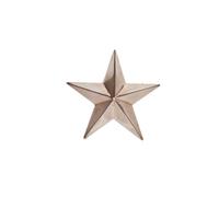 10x 1"" pollici & 1x 3,75" pollici parafango Buco stelle cromate per bici ind...